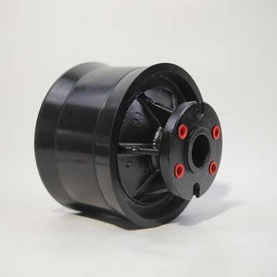 푸츠 콘크리트 펌프 부품 피스톤 램 Dn230 G